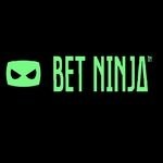 Bet Ninja Casino logo